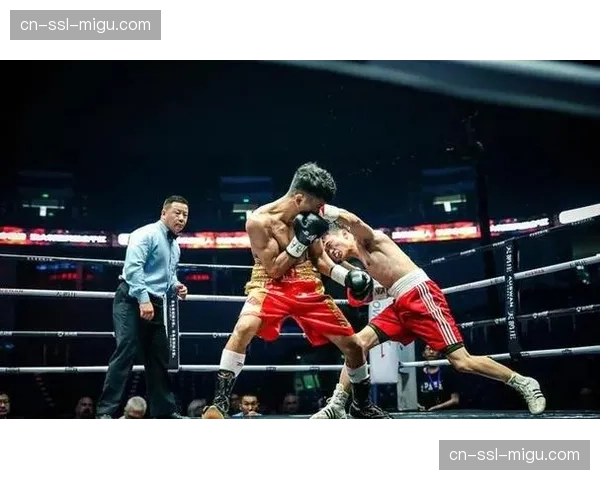 IBF下令卫冕冠军于3月底前确认下一场比赛，否则剥夺头衔